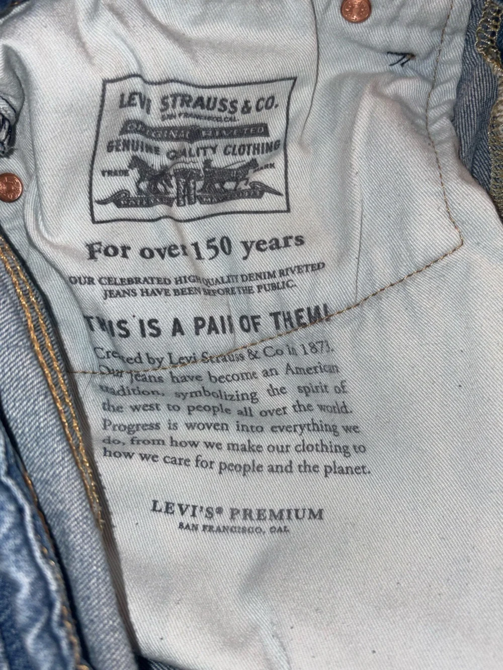 Levi “BIG E” Straight Leg PremiumJeans